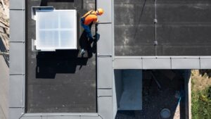 Untitled design (15) Untitled design (15)