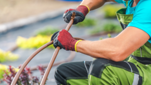 Untitled design (52) Untitled design (52)