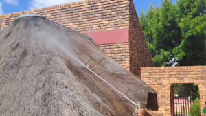 Untitled design (61) Untitled design (61)