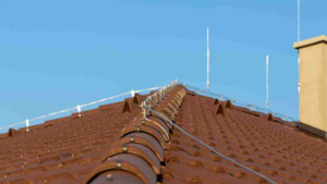 Untitled design (62) Untitled design (62)